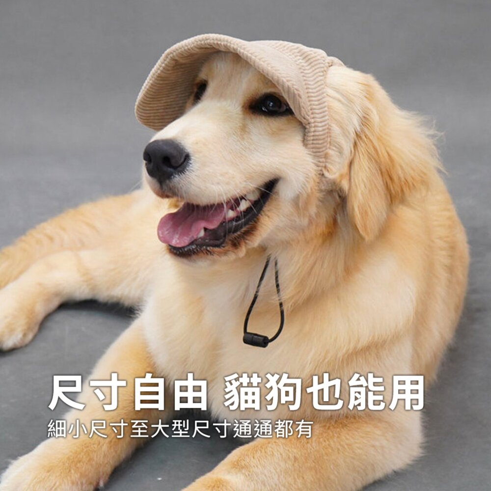 寵物帽 漁夫帽 戶外遮陽帽 寵物帽子 帽子 寵物遮陽帽 遮陽帽 燈芯絨面料毛掌櫃寵物店-圖片-5