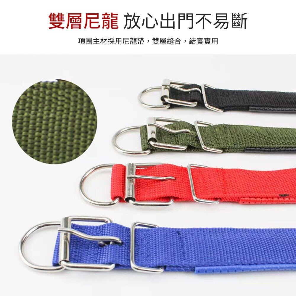 MCC 寵物泡棉項圈 軟皮泡棉鐵扣項圈 寵物項圈 狗狗項圈 泡棉項圈 尼龍項圈 多款尺寸 金屬扣環項圈毛掌櫃寵物店-圖片-1