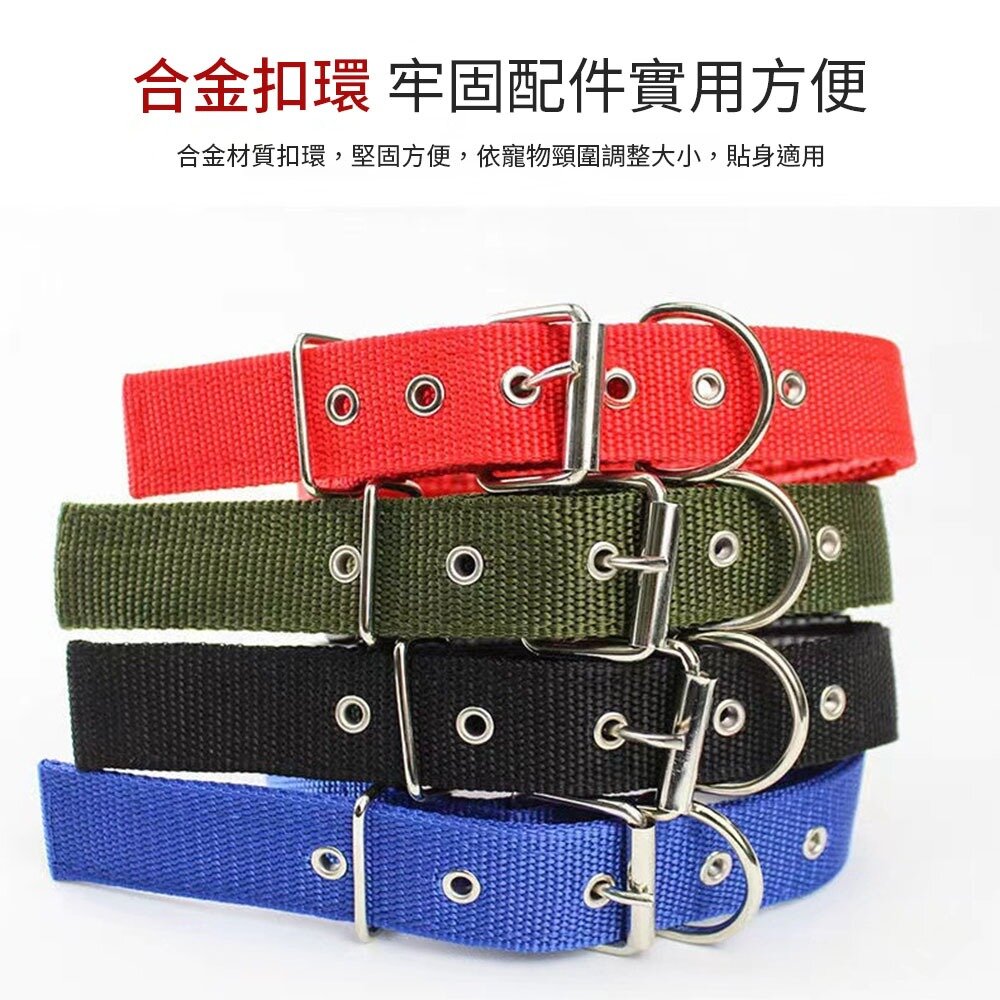 MCC 寵物泡棉項圈 軟皮泡棉鐵扣項圈 寵物項圈 狗狗項圈 泡棉項圈 尼龍項圈 多款尺寸 金屬扣環項圈毛掌櫃寵物店-圖片-3