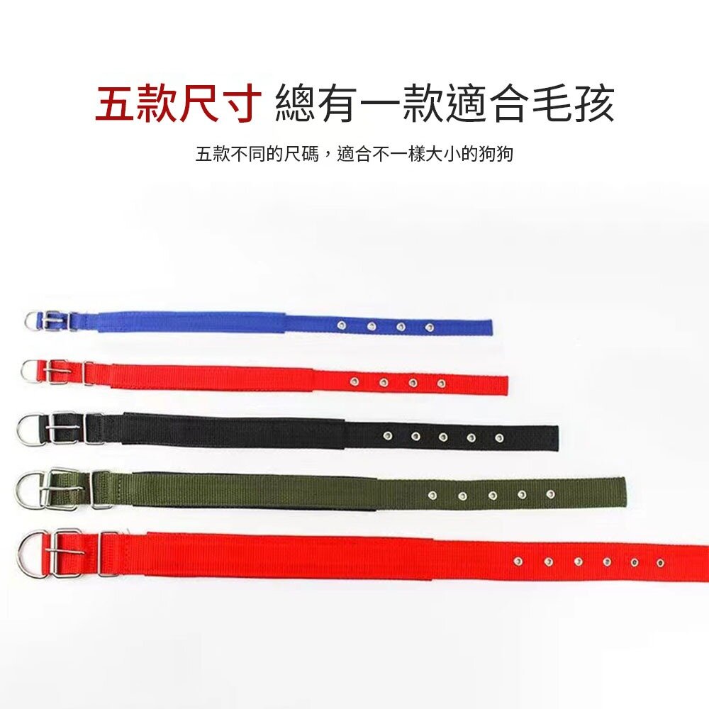 MCC 寵物泡棉項圈 軟皮泡棉鐵扣項圈 寵物項圈 狗狗項圈 泡棉項圈 尼龍項圈 多款尺寸 金屬扣環項圈毛掌櫃寵物店-圖片-4