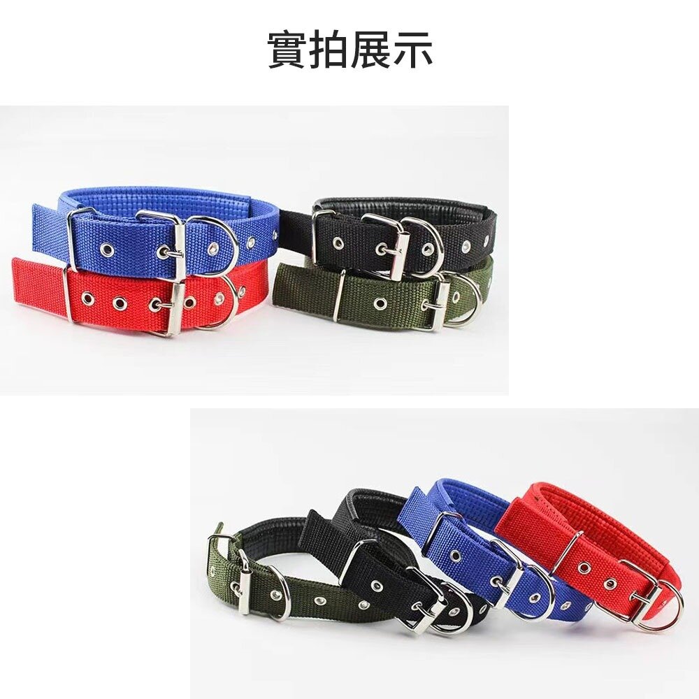 MCC 寵物泡棉項圈 軟皮泡棉鐵扣項圈 寵物項圈 狗狗項圈 泡棉項圈 尼龍項圈 多款尺寸 金屬扣環項圈毛掌櫃寵物店-圖片-6