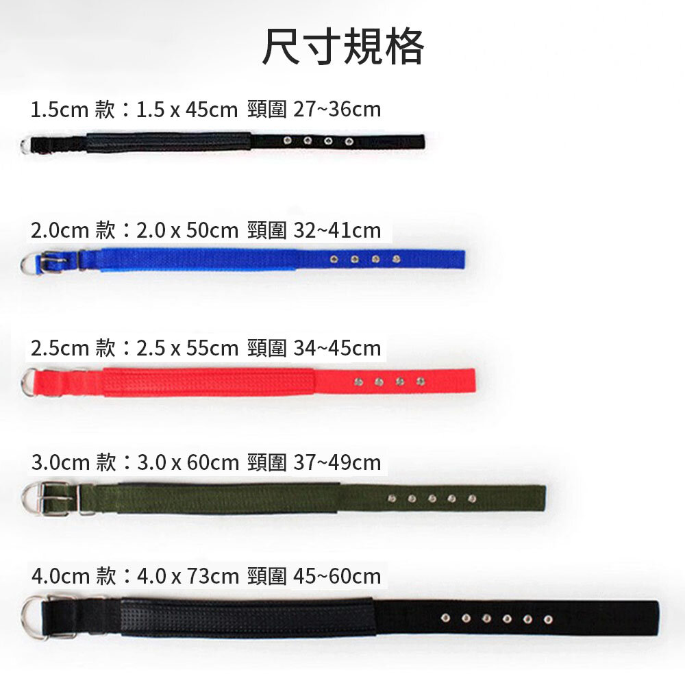 MCC 寵物泡棉項圈 軟皮泡棉鐵扣項圈 寵物項圈 狗狗項圈 泡棉項圈 尼龍項圈 多款尺寸 金屬扣環項圈毛掌櫃寵物店-圖片-7