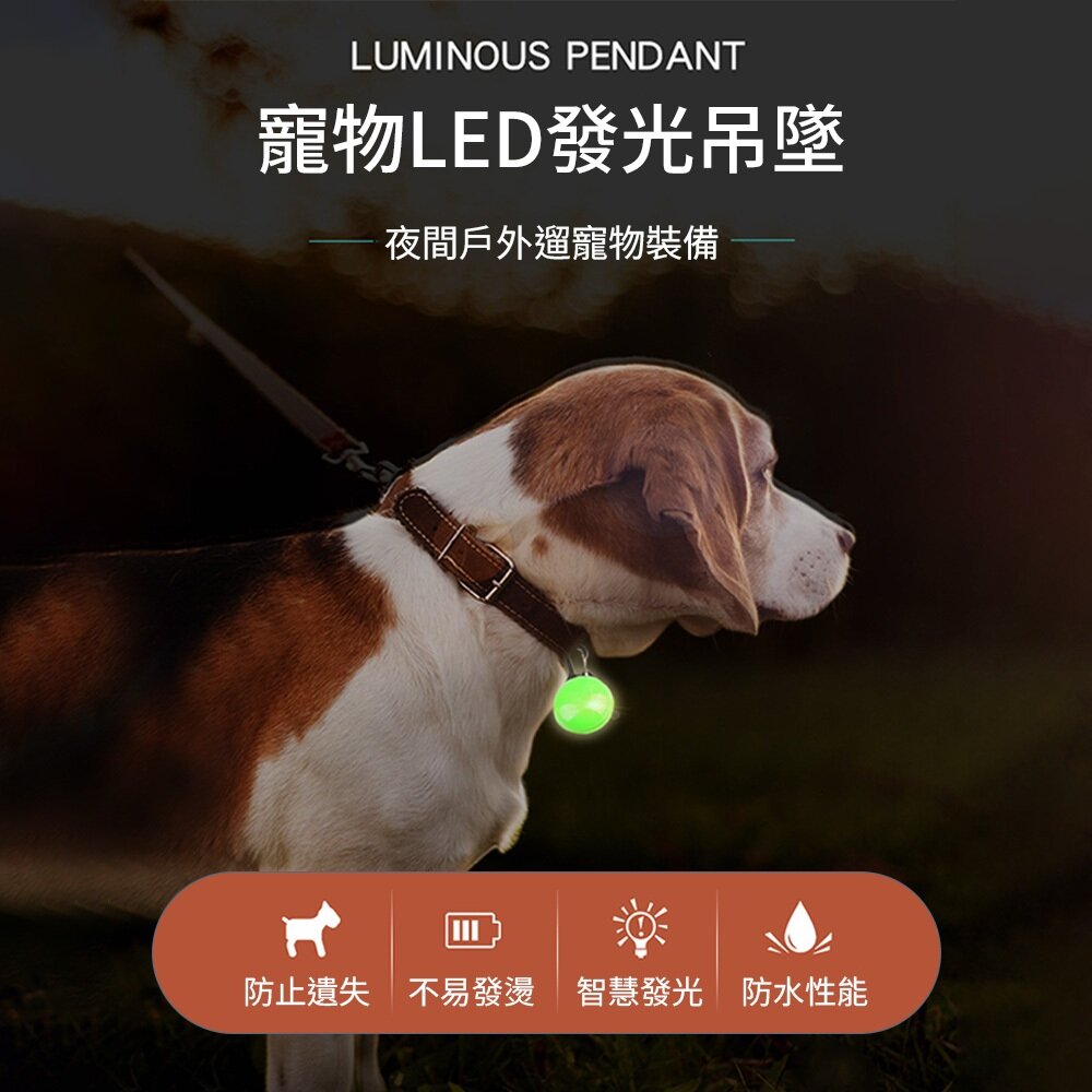 LED發光吊墜 發光項圈 發光 發光狗吊墜 發光狗牌 USB發光項圈 狗狗閃光吊牌 貓狗通用毛掌櫃寵物店-圖片-1