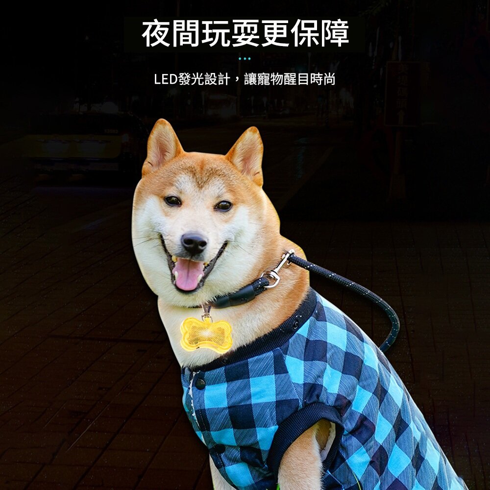LED發光吊墜 發光項圈 發光 發光狗吊墜 發光狗牌 USB發光項圈 狗狗閃光吊牌 貓狗通用毛掌櫃寵物店-圖片-2