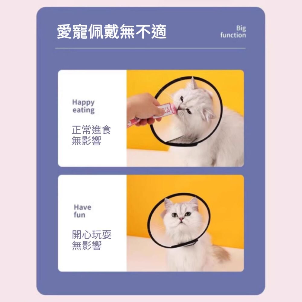 伊莉莎白頸圈 伊莉莎白圈 貓軟頭套 伊麗莎白頭套 寵物頭套 羞恥圈 防舔圈 狗狗頭套 防舔頭套毛掌櫃寵物店-圖片-3