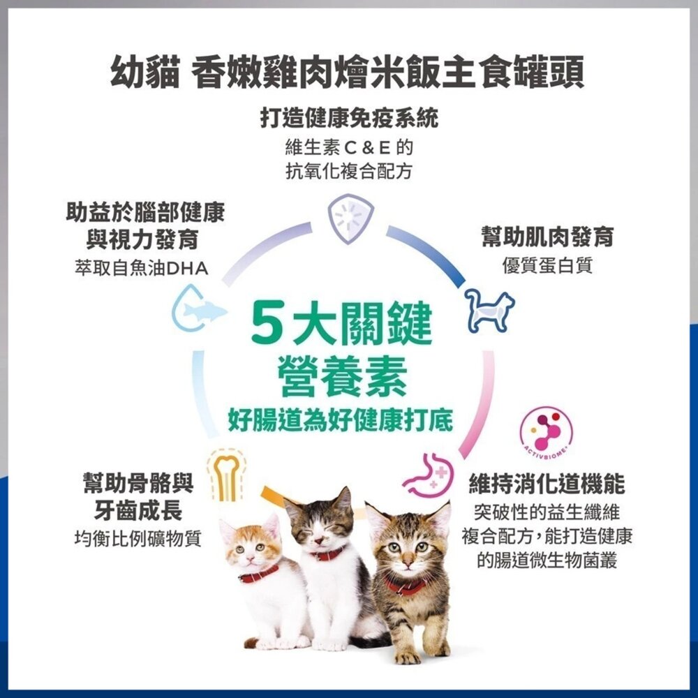 希爾思 Hills 成貓 幼貓 老貓主食罐 貓罐頭 泌尿道 化毛 貓主食罐 貓罐頭 主食罐毛掌櫃寵物店-圖片-3