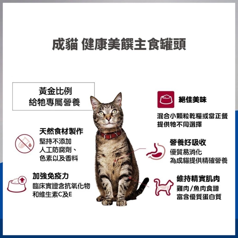 希爾思 Hills 成貓 幼貓 老貓主食罐 貓罐頭 泌尿道 化毛 貓主食罐 貓罐頭 主食罐毛掌櫃寵物店-圖片-4