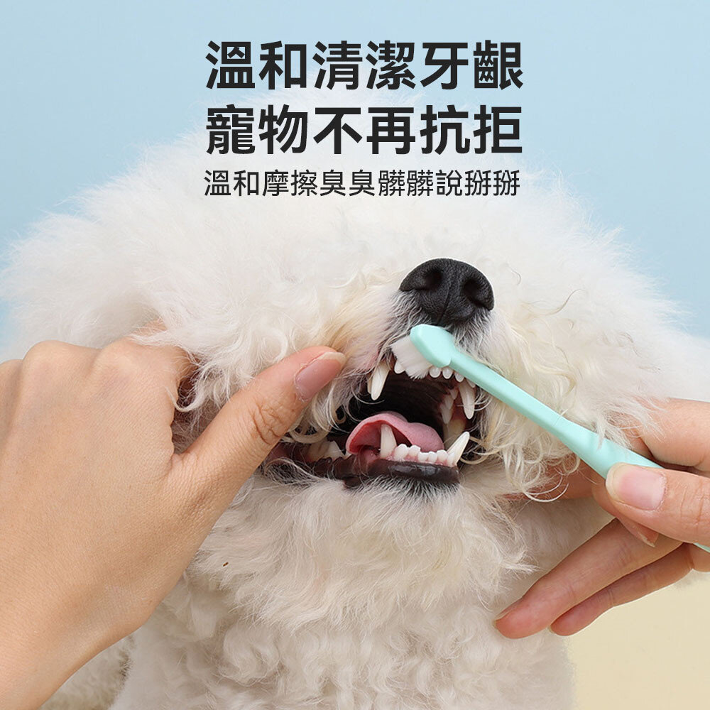 Toothbrush 寵物牙刷 360牙刷 萬毛牙刷 狗牙刷 貓牙刷 潔牙 口腔清潔 預防口臭 口齒保養毛掌櫃寵物店-圖片-3