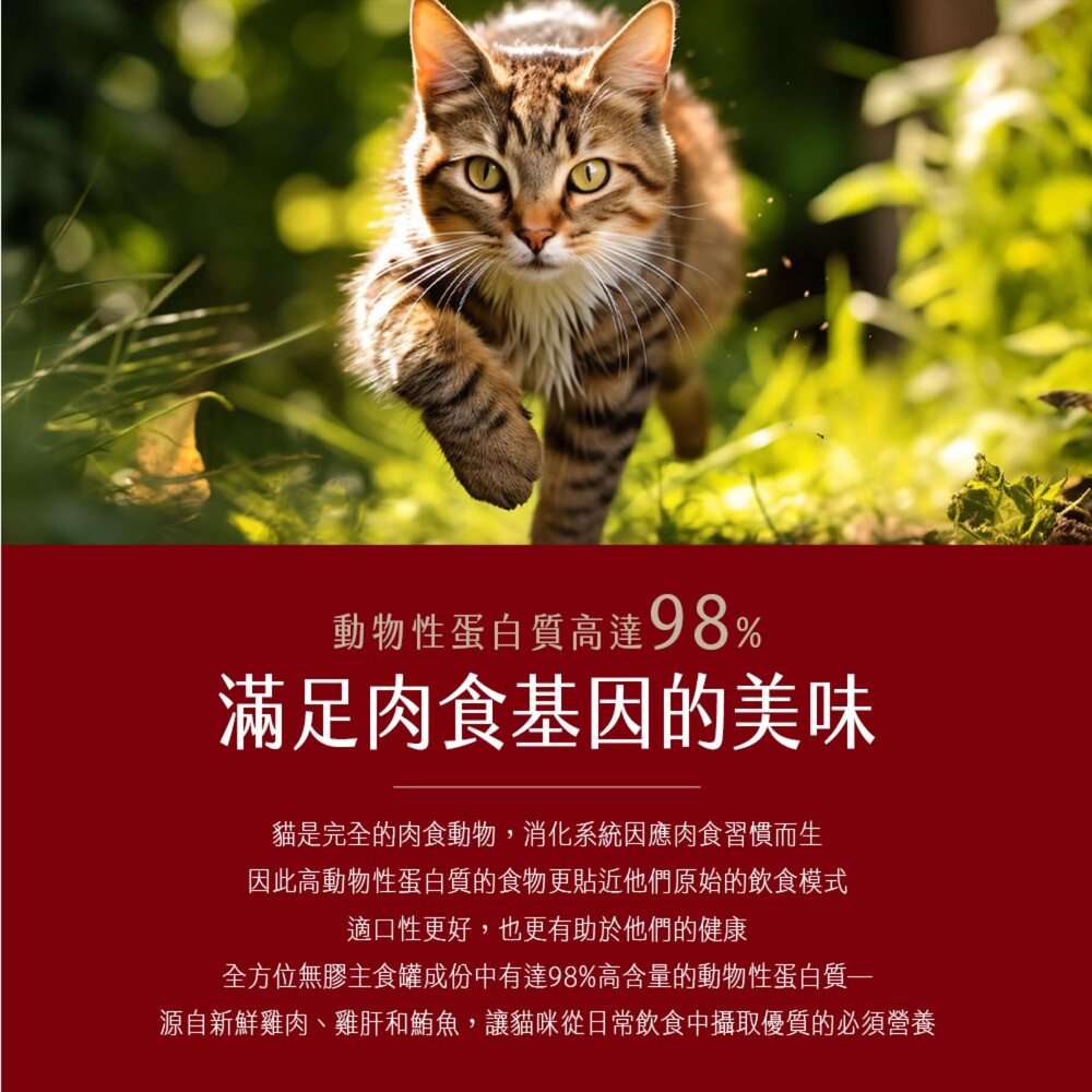 法麗 全方位無膠主食罐 高動物蛋白 雙重口感 貓食品 貓主食 無膠 低敏毛掌櫃寵物店-圖片-2