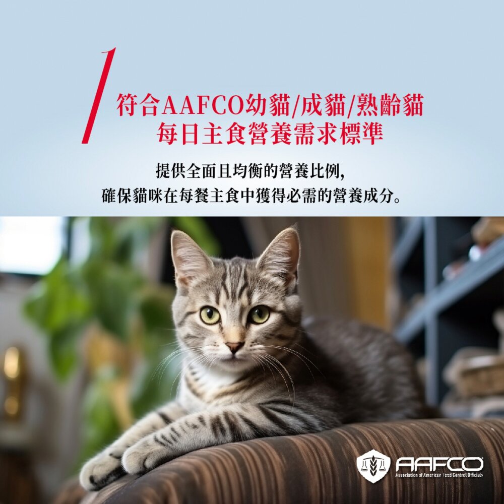 自然小貓成長 貓主食罐 8種口味 幼貓 成貓 熟齡貓 專屬營養配方毛掌櫃寵物店-圖片-2