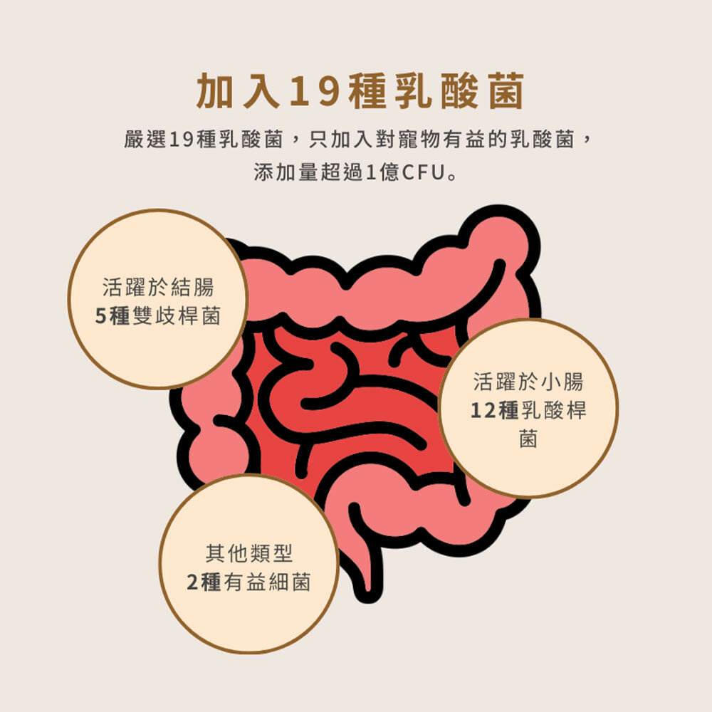 超素果菜餅乾 乳酸菌餅乾 寵物餅乾 寵物零食 狗零食 蔬果零食毛掌櫃寵物店-圖片-3