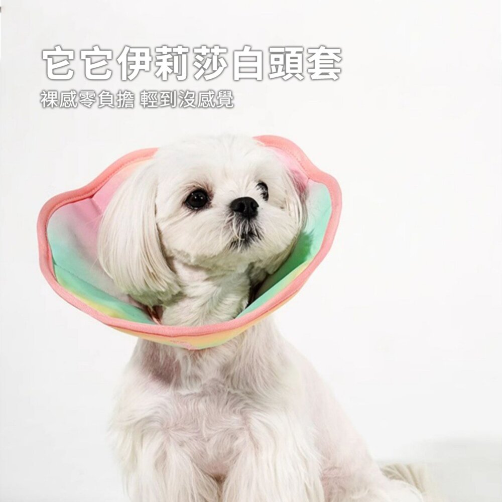 Touchdog 它它伊莉莎白頭套 貓咪狗狗頭套 脖圈 防水軟項圈 寵物防舔 絕育毛掌櫃寵物店-圖片-1