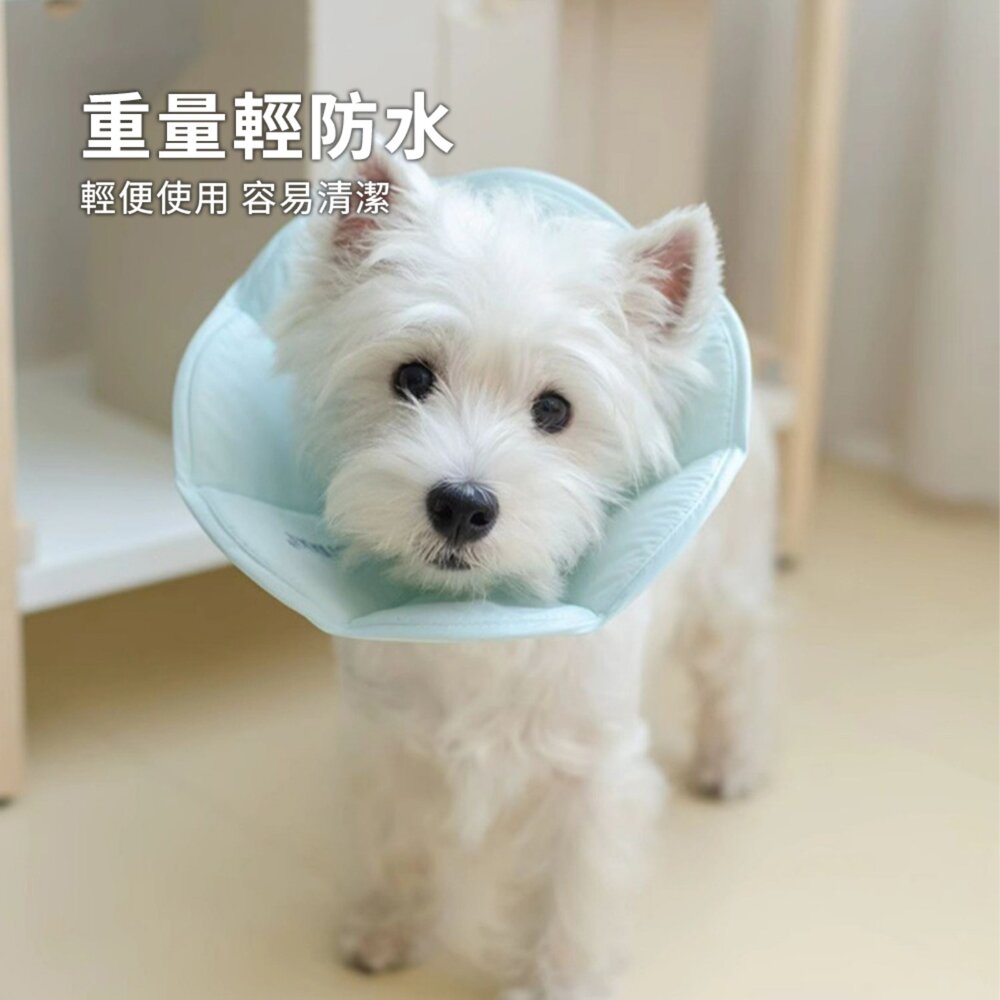 Touchdog 它它伊莉莎白頭套 貓咪狗狗頭套 脖圈 防水軟項圈 寵物防舔 絕育毛掌櫃寵物店-圖片-2