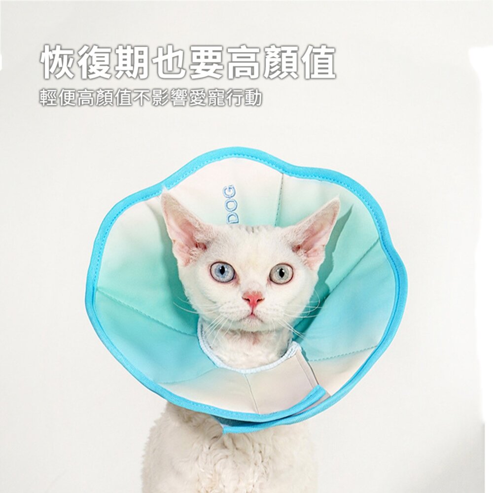 Touchdog 它它伊莉莎白頭套 貓咪狗狗頭套 脖圈 防水軟項圈 寵物防舔 絕育毛掌櫃寵物店-圖片-3