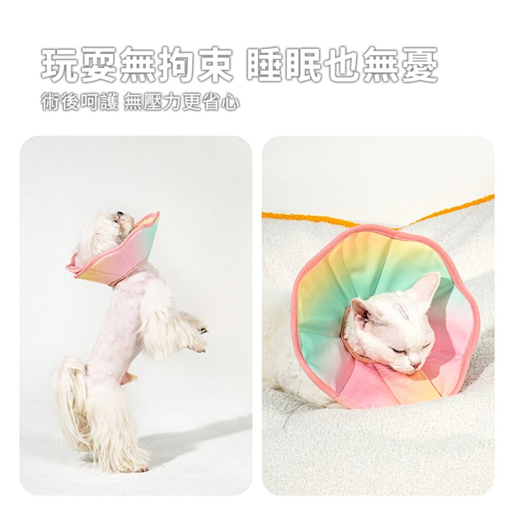 Touchdog 它它伊莉莎白頭套 貓咪狗狗頭套 脖圈 防水軟項圈 寵物防舔 絕育毛掌櫃寵物店-圖片-5