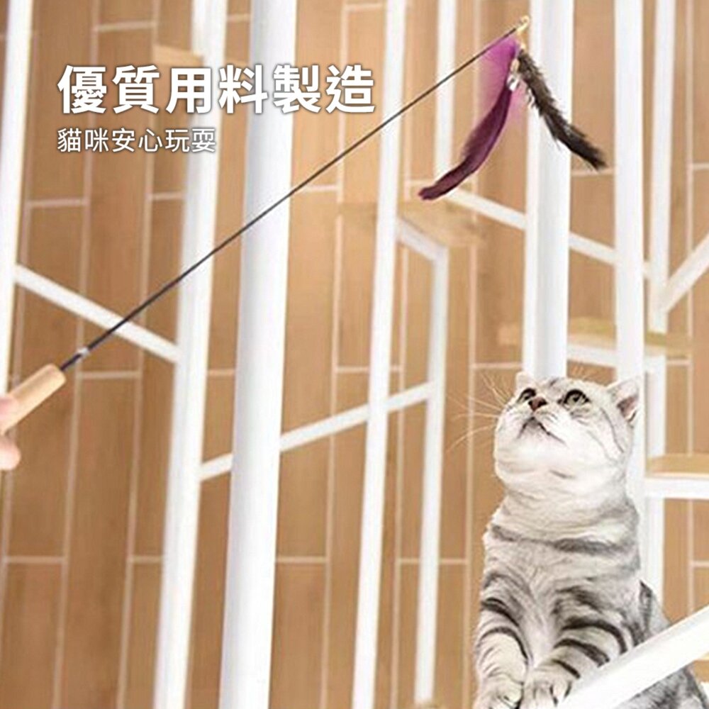 珍珠鴕鳥孔雀毛逗貓棒 貓玩具 輕奢鴕鳥孔雀毛逗貓棒 互動鈴鐺 逗貓玩具 寵物用品毛掌櫃寵物店-圖片-3