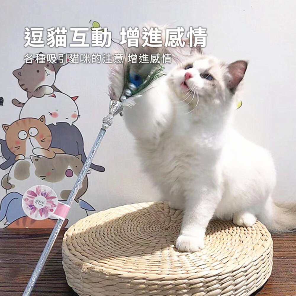 珍珠鴕鳥孔雀毛逗貓棒 貓玩具 輕奢鴕鳥孔雀毛逗貓棒 互動鈴鐺 逗貓玩具 寵物用品毛掌櫃寵物店-圖片-4