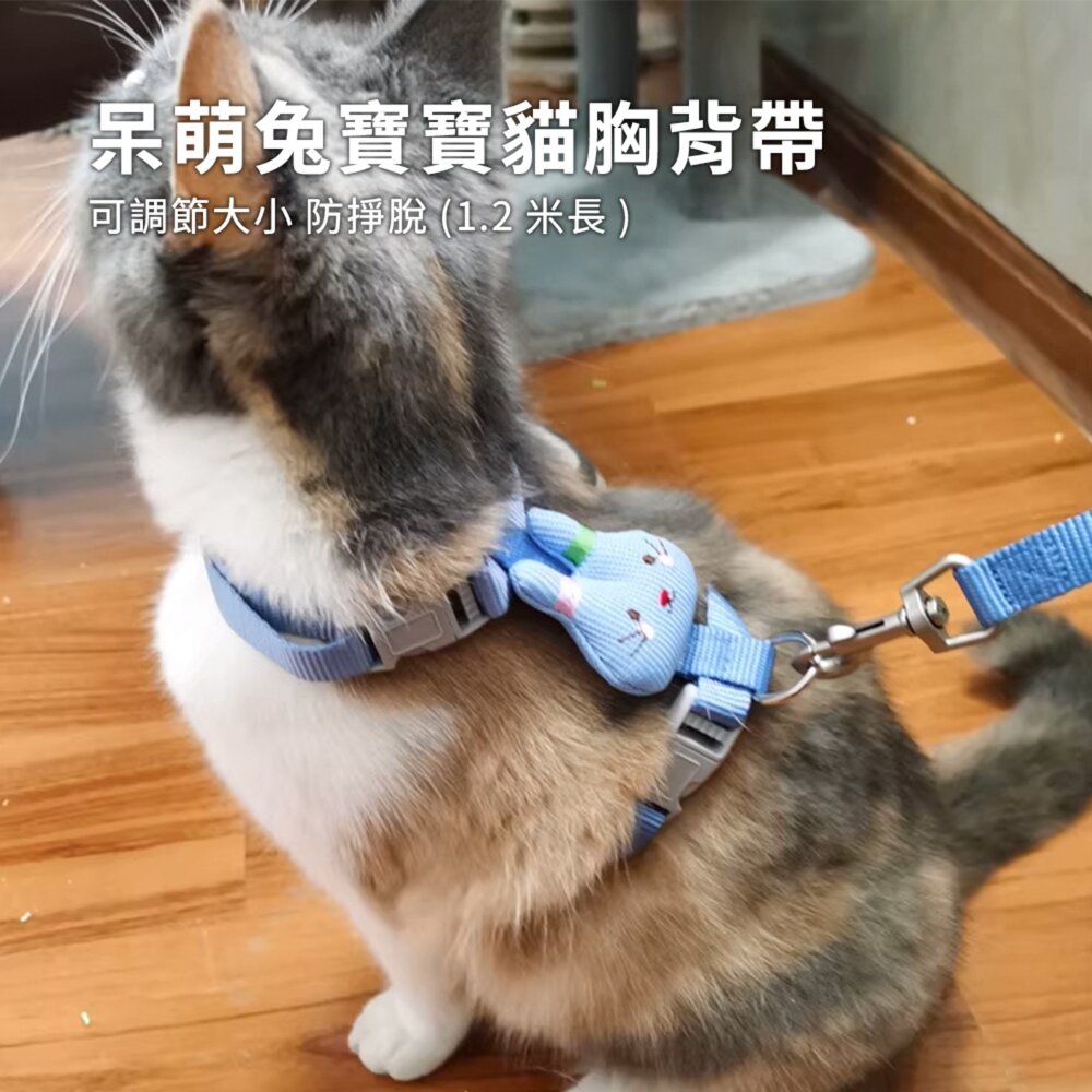 呆萌兔寶寶貓胸背帶 貓牽引繩 防掙脫可調節 外出專用 布偶藍貓幼貓遛貓繩 寵物貓咪牽引帶毛掌櫃寵物店-圖片-1