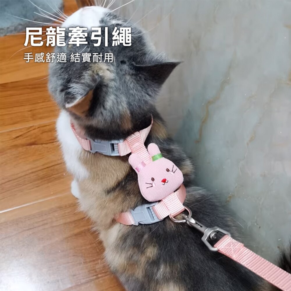 呆萌兔寶寶貓胸背帶 貓牽引繩 防掙脫可調節 外出專用 布偶藍貓幼貓遛貓繩 寵物貓咪牽引帶毛掌櫃寵物店-圖片-3