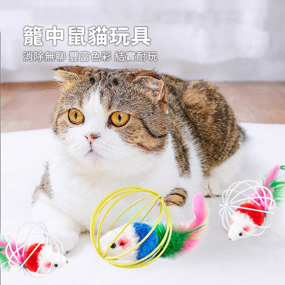 C2C 籠中鼠貓玩具 貓咪玩具 籠中鼠 逗貓自嗨玩具 互動貓咪寵物毛絨老鼠 籠中鼠毛掌櫃寵物店-圖片-1