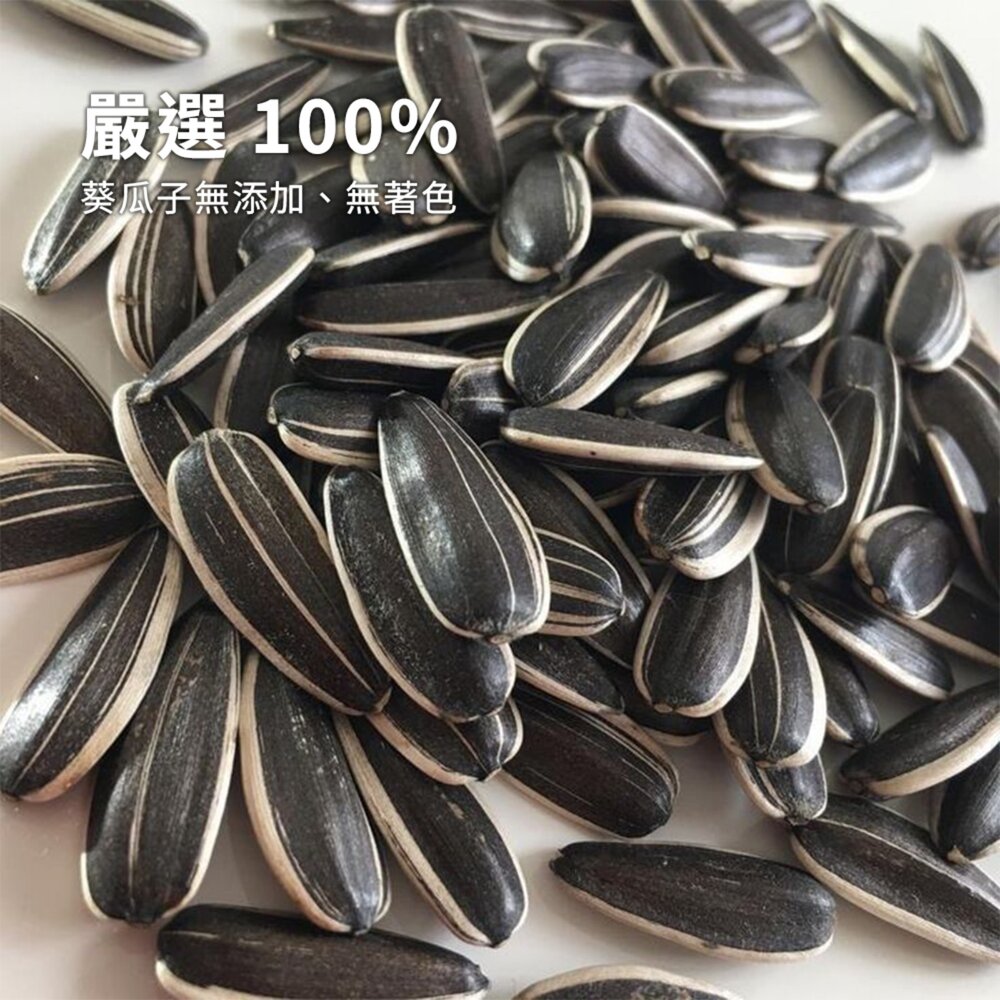 Canary 荷蘭鼠的小葵瓜子 葵瓜子 鼠食品毛掌櫃寵物店-圖片-1