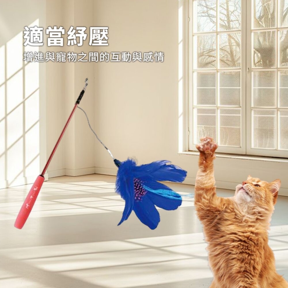 Amy Carol 伸縮花朵逗貓棒 花朵系列 伸縮釣竿 逗貓棒毛掌櫃寵物店-圖片-1