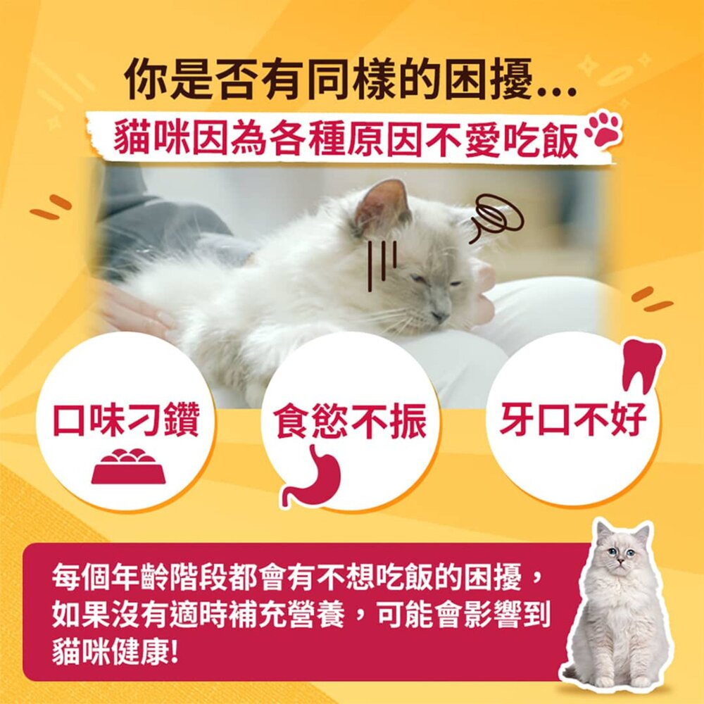 喜躍貓咪濃湯杯 美式濃湯杯 貓咪零食 貓食品 濃湯質地 貓咪最愛 貓咪的胃口救星毛掌櫃寵物店-圖片-2