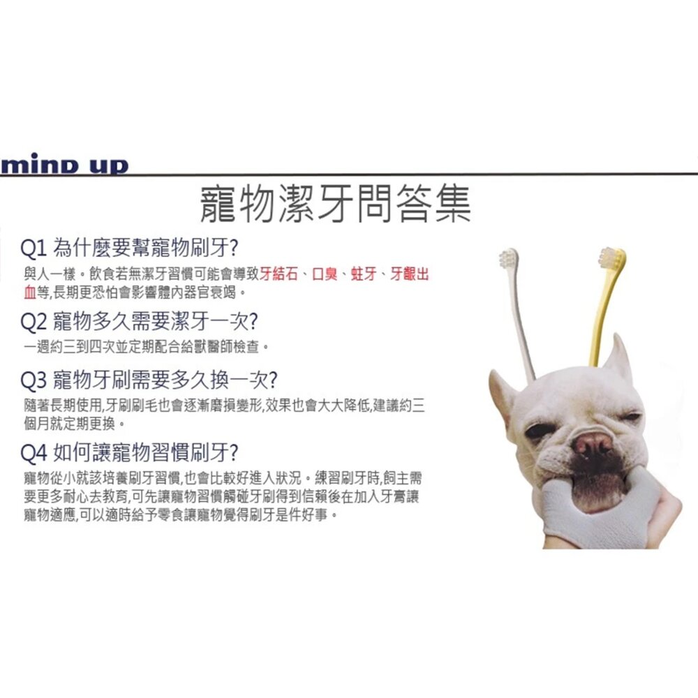 日本Mind Up寵物專業牙結石去除工具 寵物牙刷 牙結石去除工具 狗狗口腔護理 貓貓口腔護理毛掌櫃寵物店-圖片-5