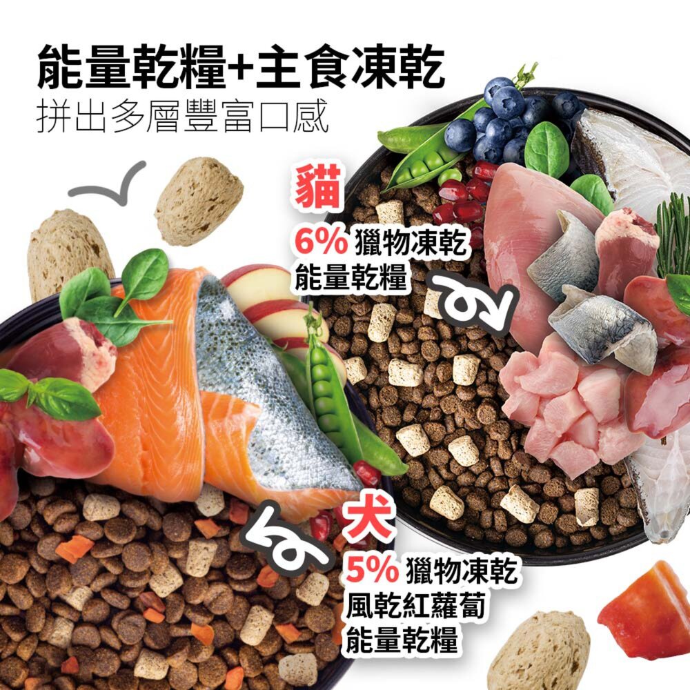 耐吉斯 P系列 大包裝 凍乾狗飼料 全齡犬 狗飼料 凍乾多拚糧 凍乾填心糧 狗糧 狗主食 大包裝狗糧毛掌櫃寵物店-圖片-2