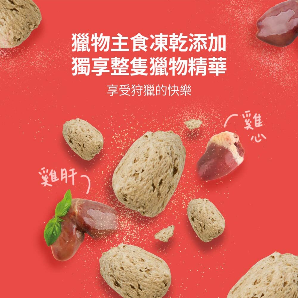 耐吉斯 P系列 大包裝 凍乾狗飼料 全齡犬 狗飼料 凍乾多拚糧 凍乾填心糧 狗糧 狗主食 大包裝狗糧毛掌櫃寵物店-圖片-3