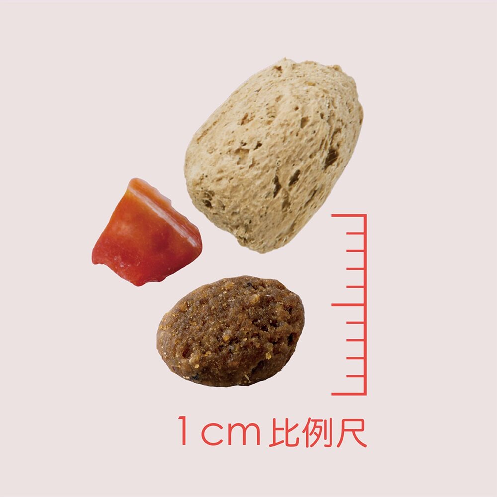 耐吉斯 P系列 大包裝 凍乾狗飼料 全齡犬 狗飼料 凍乾多拚糧 凍乾填心糧 狗糧 狗主食 大包裝狗糧毛掌櫃寵物店-圖片-7