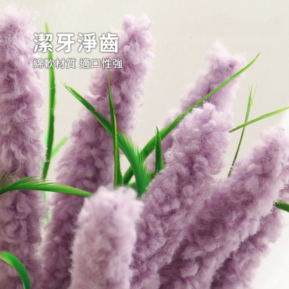 草本植物逗貓棒 貓玩具 逗貓神器 造型逗貓棒 互動貓玩具 植物造型逗貓棒毛掌櫃寵物店-圖片-4