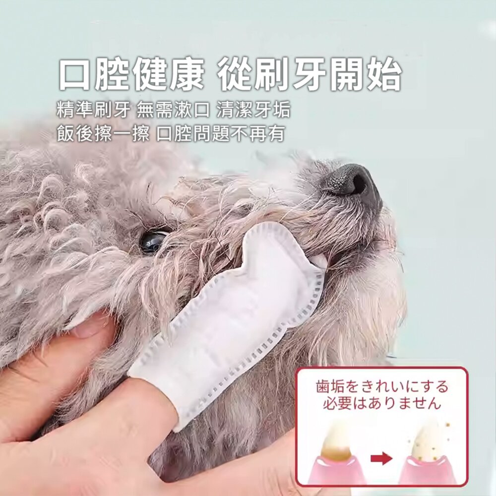 UOMipe 日本犬貓口腔指套 牙刷 手指套 濕巾 寵物 訓練 刷牙 貓咪 狗狗 口腔 清潔 牙齒 口臭 犬貓通用毛掌櫃-圖片-3