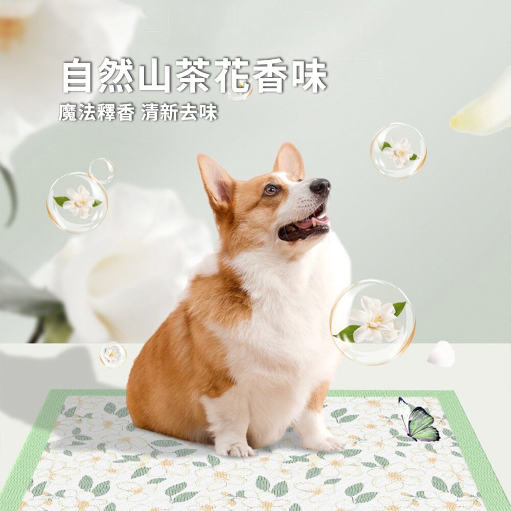 Hipi 山茶花 寵物加厚尿墊 尿布墊 山茶花狗狗尿墊 加厚除臭吸水 隔尿墊 寵物尿片尿布 小狗誘導尿墊 貓用毛掌櫃寵物-圖片-1
