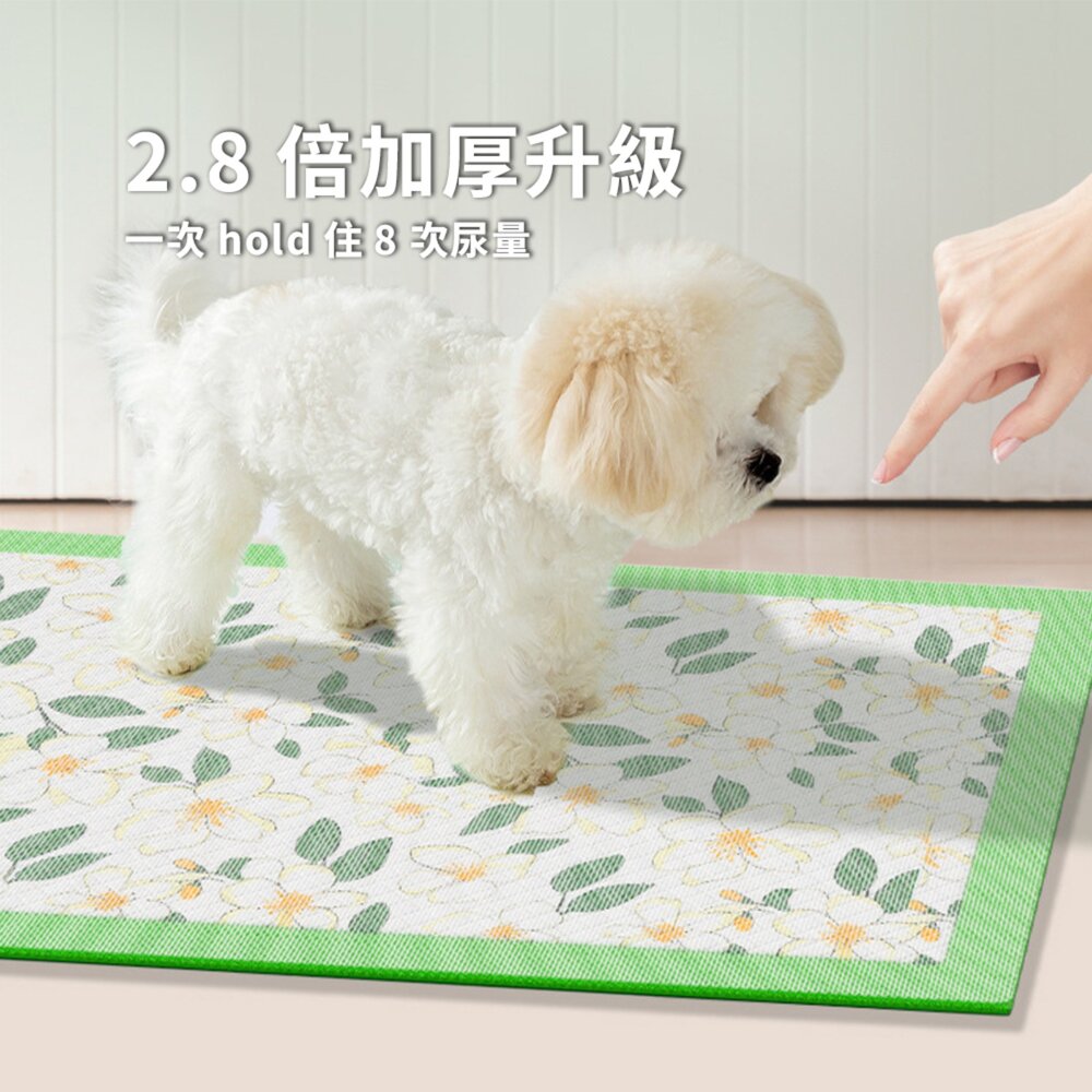Hipi 山茶花 寵物加厚尿墊 尿布墊 山茶花狗狗尿墊 加厚除臭吸水 隔尿墊 寵物尿片尿布 小狗誘導尿墊 貓用毛掌櫃寵物-圖片-2
