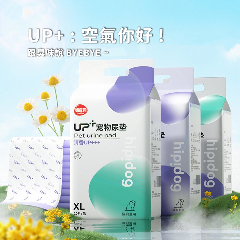 Hipi 活性碳 除臭UP++ 加厚尿墊 尿布墊 加厚除臭吸水尿片 泰迪比熊 貓咪吸水墊 尿布尿不濕 狗狗尿墊 寵物用品-圖片-5
