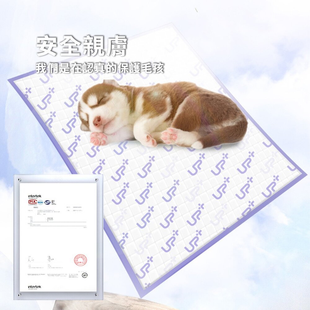Hipi 活性碳 除臭UP++ 加厚尿墊 尿布墊 加厚除臭吸水尿片 泰迪比熊 貓咪吸水墊 尿布尿不濕 狗狗尿墊 寵物用品-圖片-7