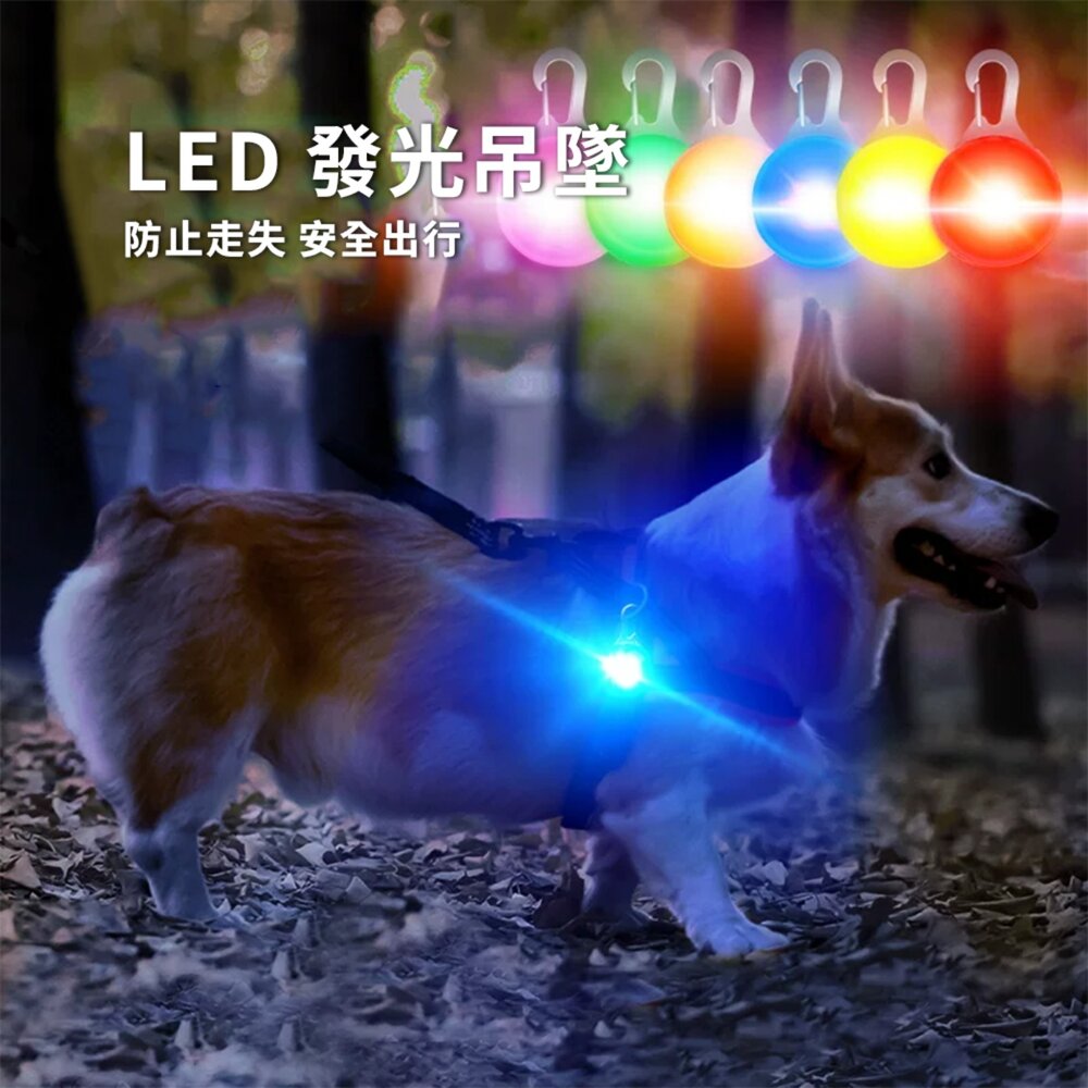 DGT LED發光吊墜 寵物 LED 狗狗發光吊墜 夜光防走失丟燈 狗牌 貓咪鈴鐺 夜間遛狗燈 泰迪毛掌櫃寵物店-圖片-1