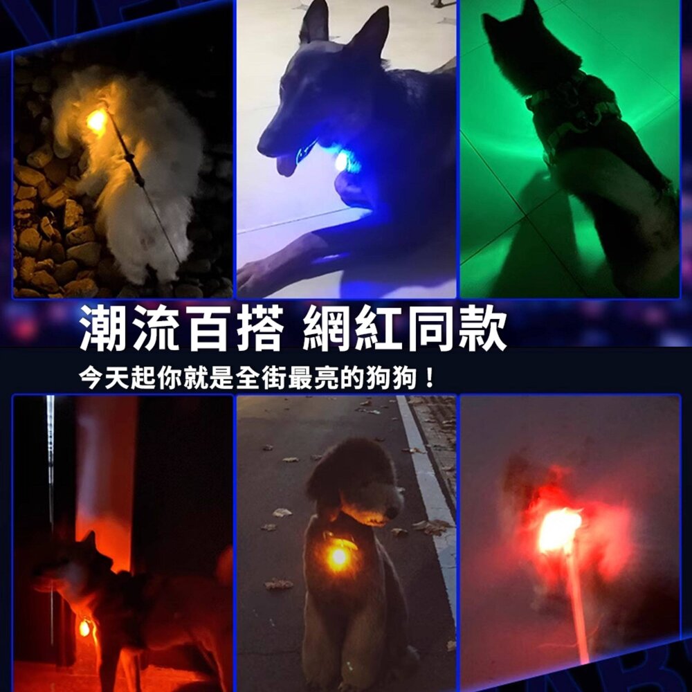 DGT LED發光吊墜 寵物 LED 狗狗發光吊墜 夜光防走失丟燈 狗牌 貓咪鈴鐺 夜間遛狗燈 泰迪毛掌櫃寵物店-圖片-4