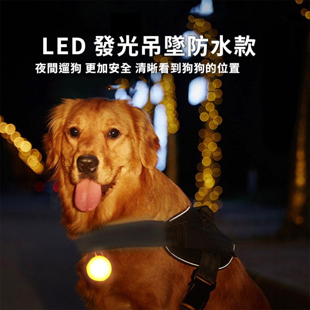 DGT LED 發光吊墜 防水款 狗狗夜行燈 遛狗散步燈 寵物發光吊墜 LED燈 畢格燈 防丟 防水毛掌櫃寵物店-圖片-1
