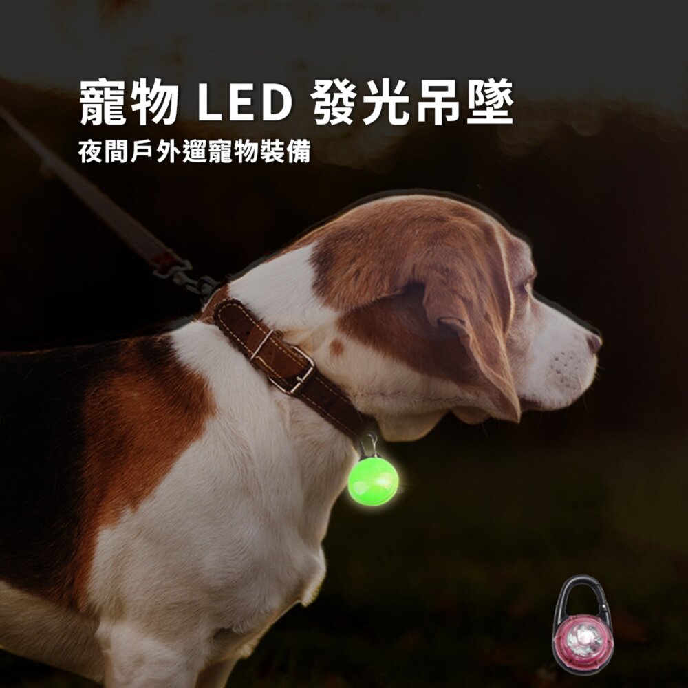 DGT LED 發光吊墜 防水款 狗狗夜行燈 遛狗散步燈 寵物發光吊墜 LED燈 畢格燈 防丟 防水毛掌櫃寵物店-圖片-3