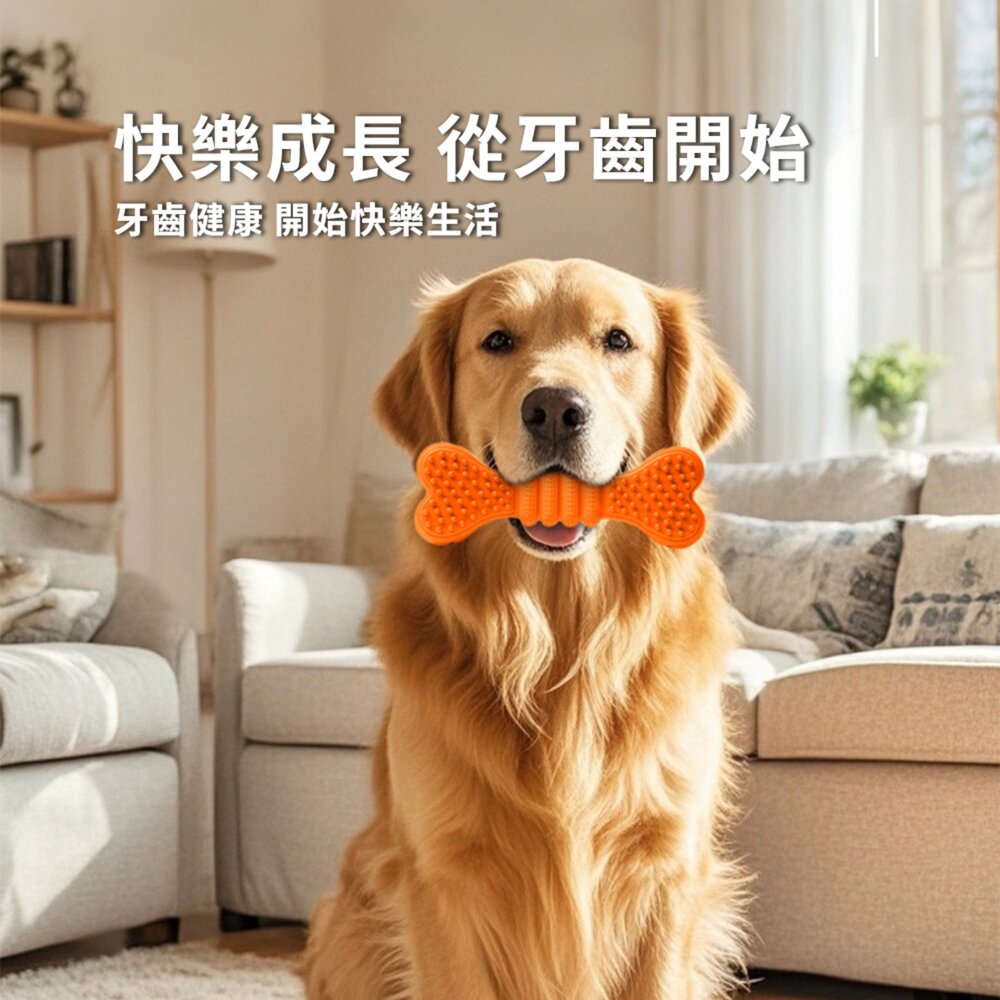 軟刺釘潔齒漏食骨 爆款 漏食 軟刺釘骨頭玩具 磨牙 可潔齒磨牙 中型犬 狗玩具 咬不爛毛掌櫃寵物店-圖片-1