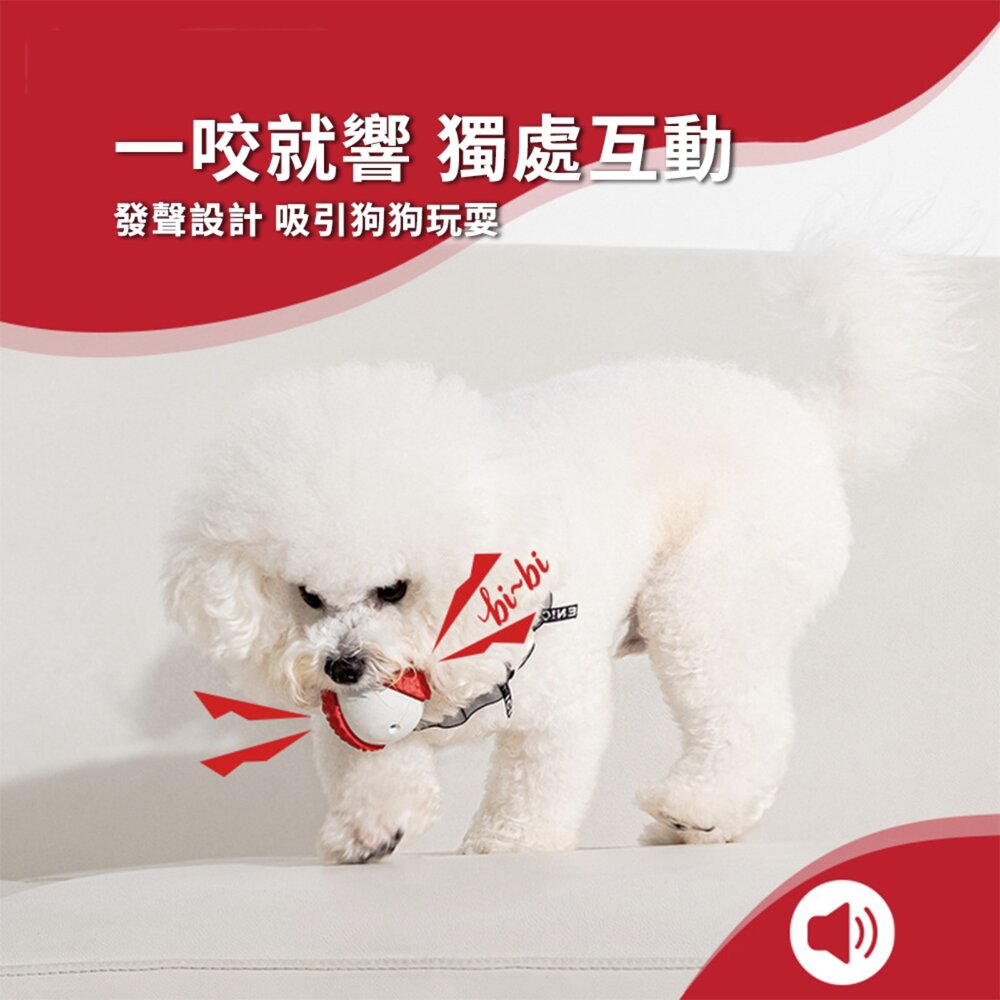 水果橡膠發聲玩具 水果系列 荔枝發聲狗玩具 自嗨解悶 可發聲 爆款 天然橡膠 狗狗玩具毛掌櫃寵物店-圖片-1