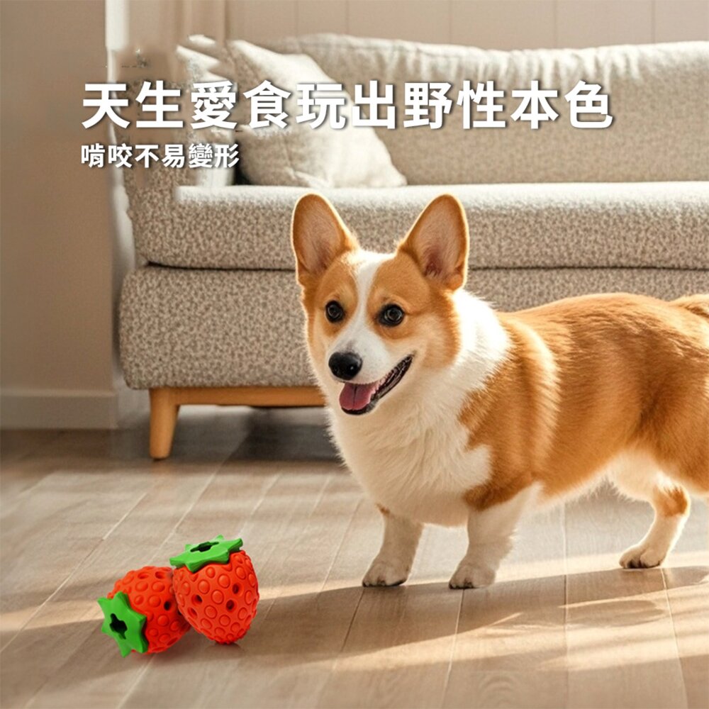 漏食藏食水果玩具 漏食藏食草莓玩具 互動磨牙潔齒 狗狗玩具 天然橡膠材質 寵物玩具毛掌櫃寵物店-圖片-1