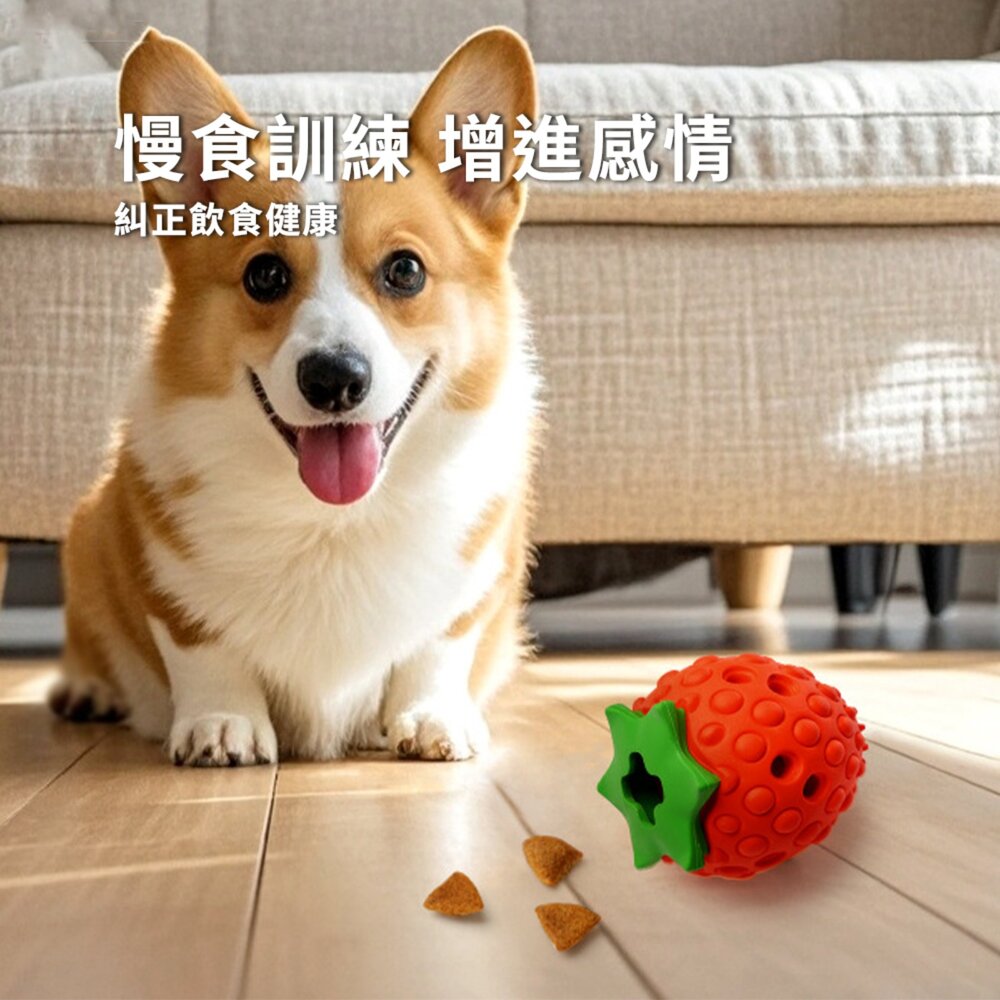 漏食藏食水果玩具 漏食藏食草莓玩具 互動磨牙潔齒 狗狗玩具 天然橡膠材質 寵物玩具毛掌櫃寵物店-圖片-3