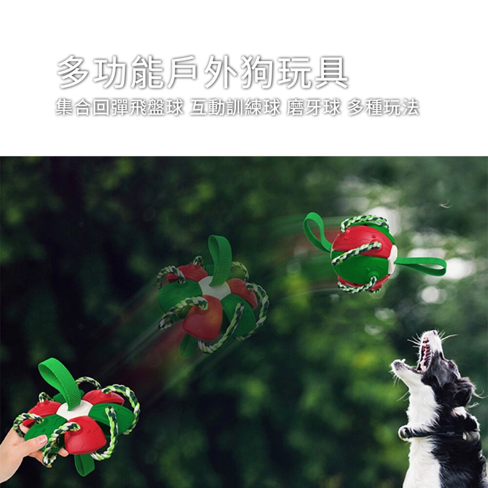 快樂飛盤球 多功能 戶外狗狗玩具 飛盤球 互動訓練球 漏食 磨牙潔齒 耐咬神器 可壓縮成飛盤 可彈跳球毛掌櫃寵物店-圖片-2