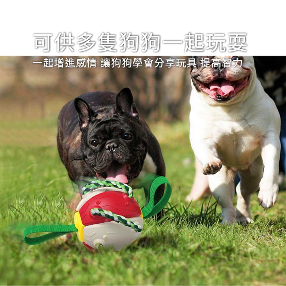 快樂飛盤球 多功能 戶外狗狗玩具 飛盤球 互動訓練球 漏食 磨牙潔齒 耐咬神器 可壓縮成飛盤 可彈跳球毛掌櫃寵物店-圖片-4