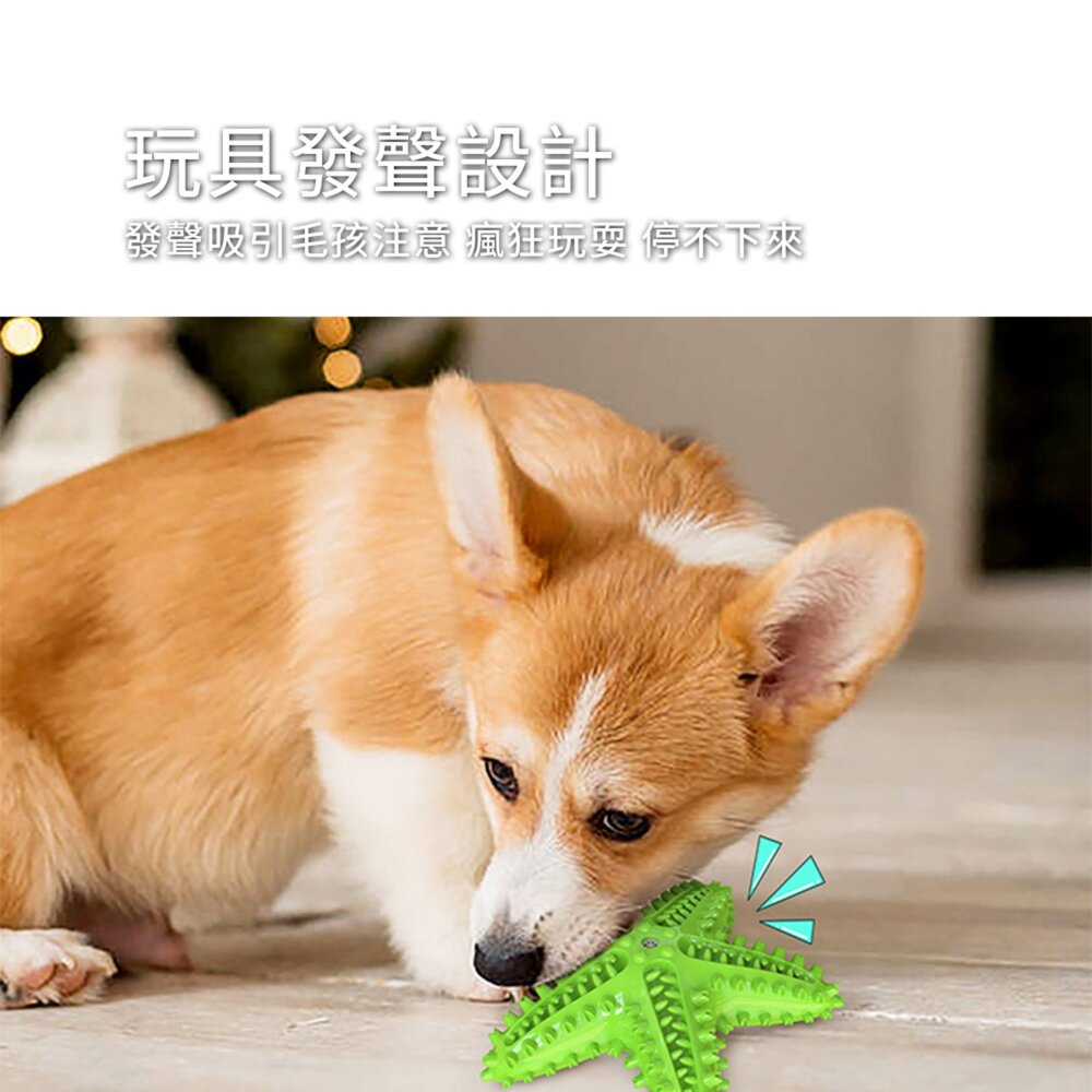 海星 發聲牙刷玩具 海星造型 狗狗發聲漏食玩具 寵物互動 益智磨牙 潔齒神器 TPR耐咬材質 可漂浮水上邊玩邊潔牙 可塗-圖片-2