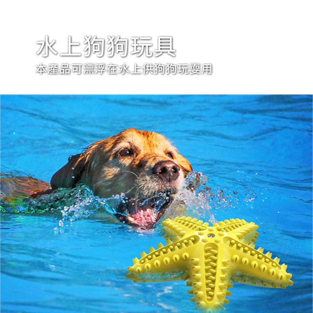 海星 發聲牙刷玩具 海星造型 狗狗發聲漏食玩具 寵物互動 益智磨牙 潔齒神器 TPR耐咬材質 可漂浮水上邊玩邊潔牙 可塗-圖片-3