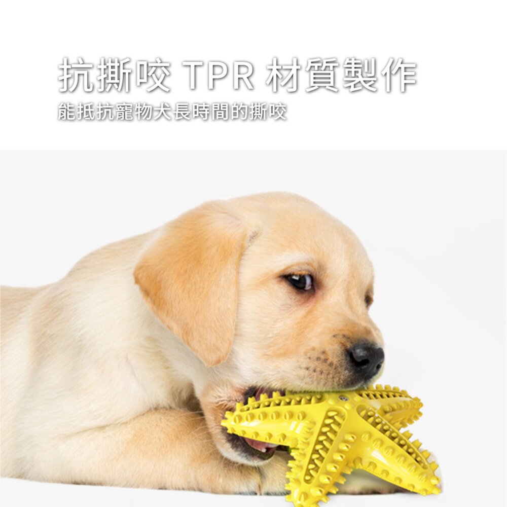 海星 發聲牙刷玩具 海星造型 狗狗發聲漏食玩具 寵物互動 益智磨牙 潔齒神器 TPR耐咬材質 可漂浮水上邊玩邊潔牙 可塗-圖片-5